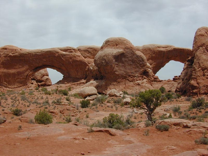 Condor Arch