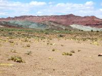 Painted Desert