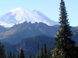 Rainier 975.jpg