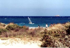 richard,_wind_surfing_3.jpg