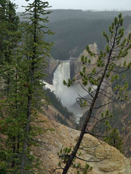 Yellowstone_ART2325.NEF.jpg