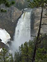 Yellowstone_ART2318.NEF.jpg